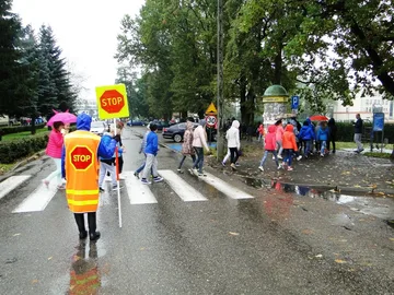 Następne zdjęcie