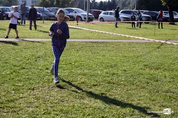 Szkolne mistrzostwa miasta w indywidualnych biegach przełajowych (zdjęcia)