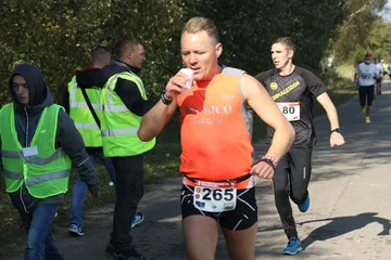 Poprzednie zdjęcie
