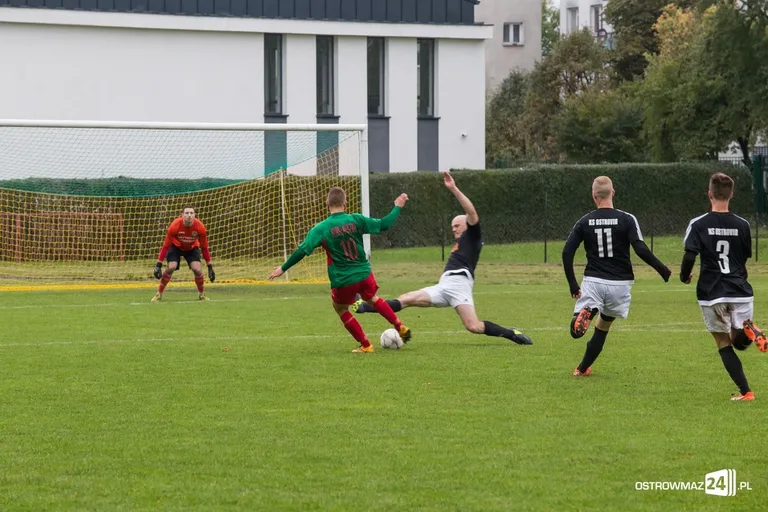 Ostrovia bezradna w starciu ze Żbikiem (zdjęcia, wideo)