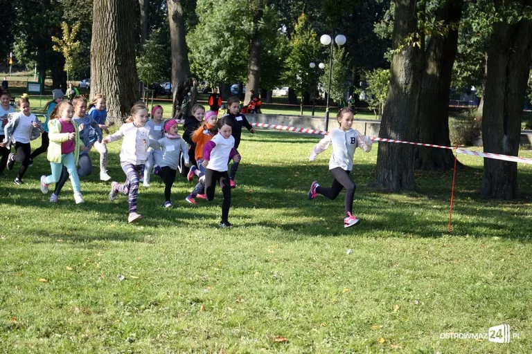 Szkolne mistrzostwa miasta w indywidualnych biegach przełajowych (zdjęcia)