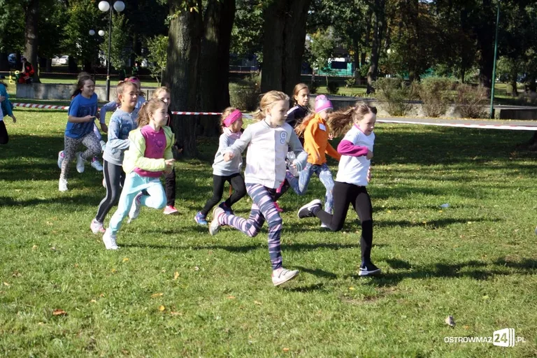 Szkolne mistrzostwa miasta w indywidualnych biegach przełajowych (zdjęcia)