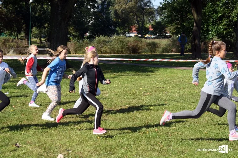 Szkolne mistrzostwa miasta w indywidualnych biegach przełajowych (zdjęcia)