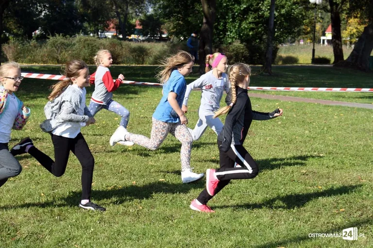 Szkolne mistrzostwa miasta w indywidualnych biegach przełajowych (zdjęcia)