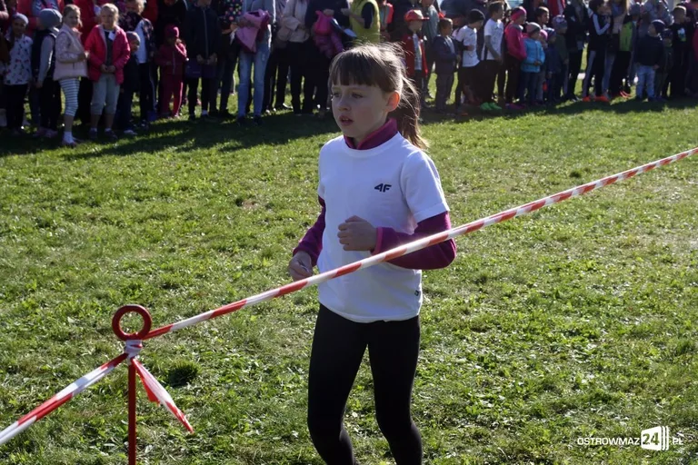 Szkolne mistrzostwa miasta w indywidualnych biegach przełajowych (zdjęcia)