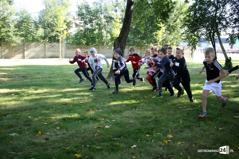 Szkolne mistrzostwa miasta w indywidualnych biegach przełajowych (zdjęcia)
