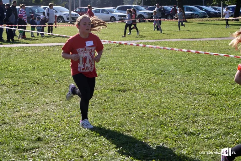 Szkolne mistrzostwa miasta w indywidualnych biegach przełajowych (zdjęcia)