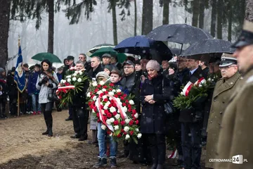 Następne zdjęcie