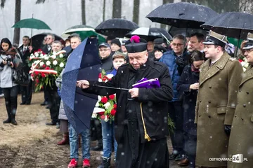 Następne zdjęcie