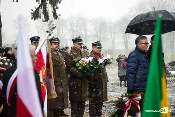 Poprzednie zdjęcie