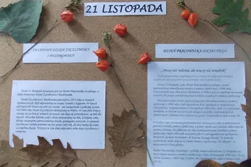 Następne zdjęcie
