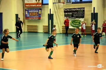 Następne zdjęcie