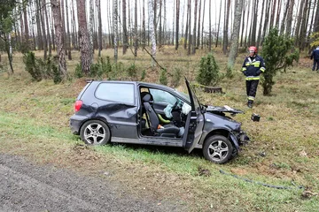 Następne zdjęcie
