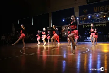 Następne zdjęcie