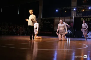 Następne zdjęcie