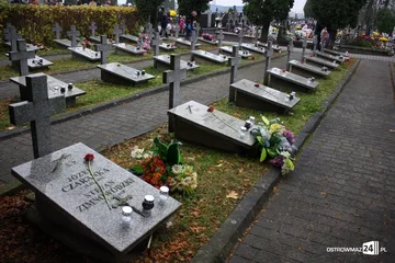 Poprzednie zdjęcie