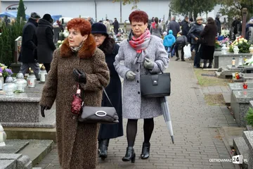 Poprzednie zdjęcie