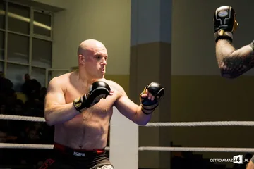 Następne zdjęcie