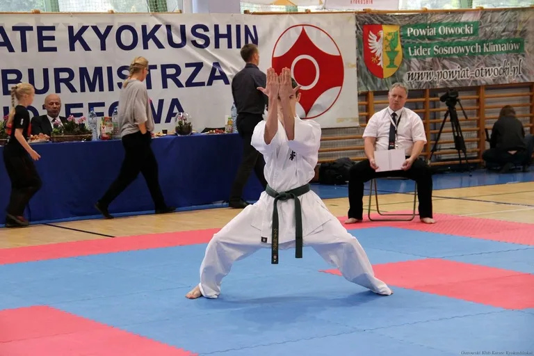 Siedem medali ostrowskich karateków w Józefowie (zdjęcia)