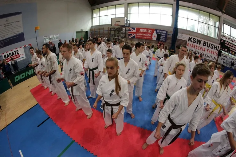 Siedem medali ostrowskich karateków w Józefowie (zdjęcia)
