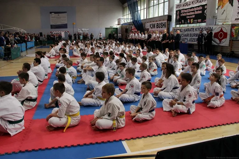 Siedem medali ostrowskich karateków w Józefowie (zdjęcia)