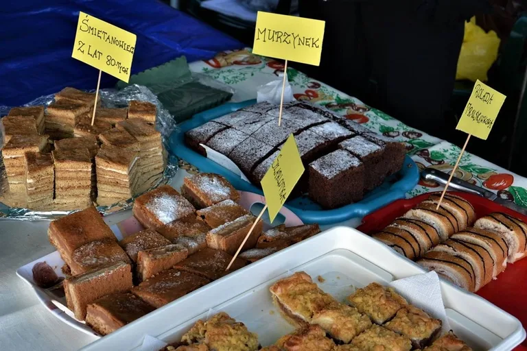 Piknik niepodległościowy w ostrowskim ogrodzie społecznym (zdjęcia)
