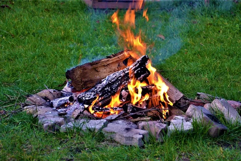 Piknik niepodległościowy w ostrowskim ogrodzie społecznym (zdjęcia)