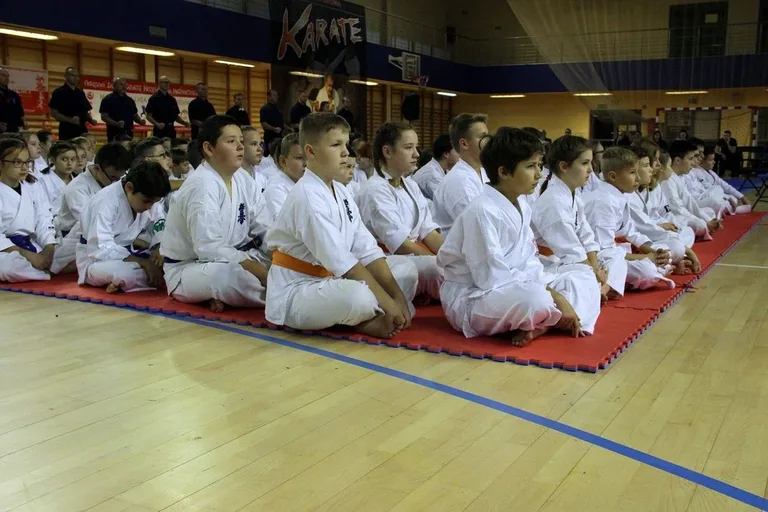 Pięć medali ostrowskich karateków na Mazovia Cup (zdjęcia)