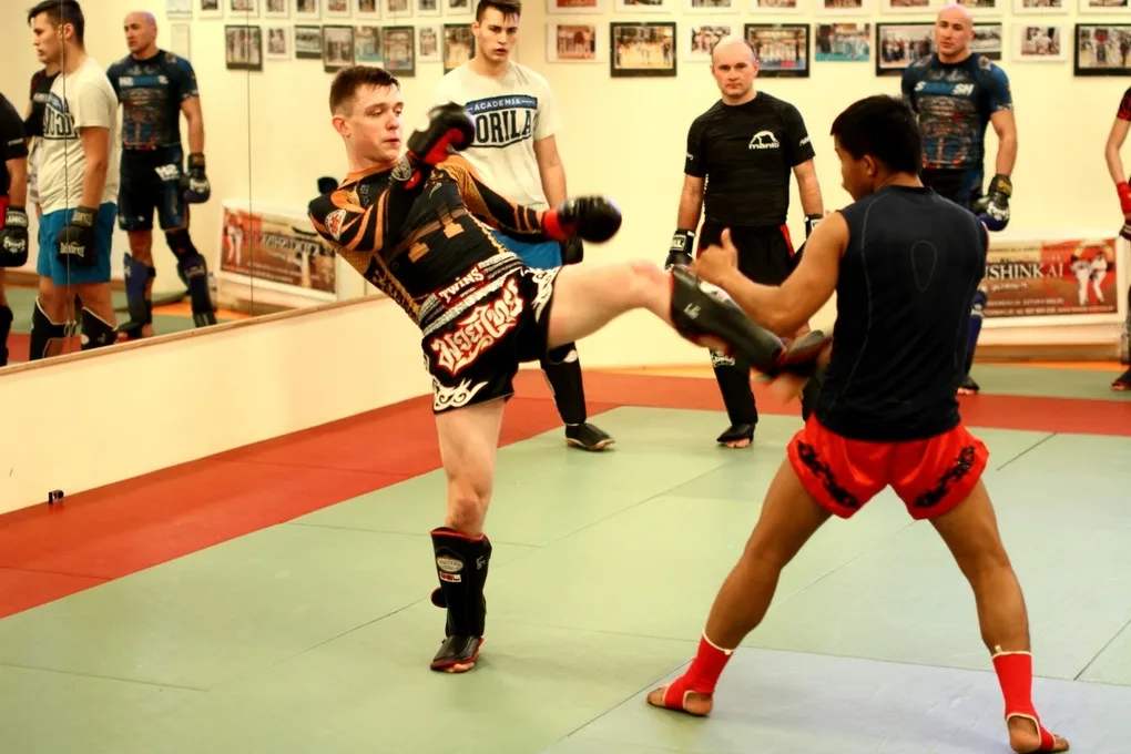 Warsztaty z muay thai w Ostrowi (zdjęcia)