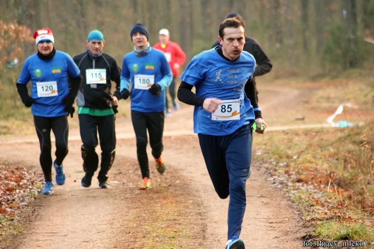 Pobiegli po choinkę w Orle (300 zdjęć)