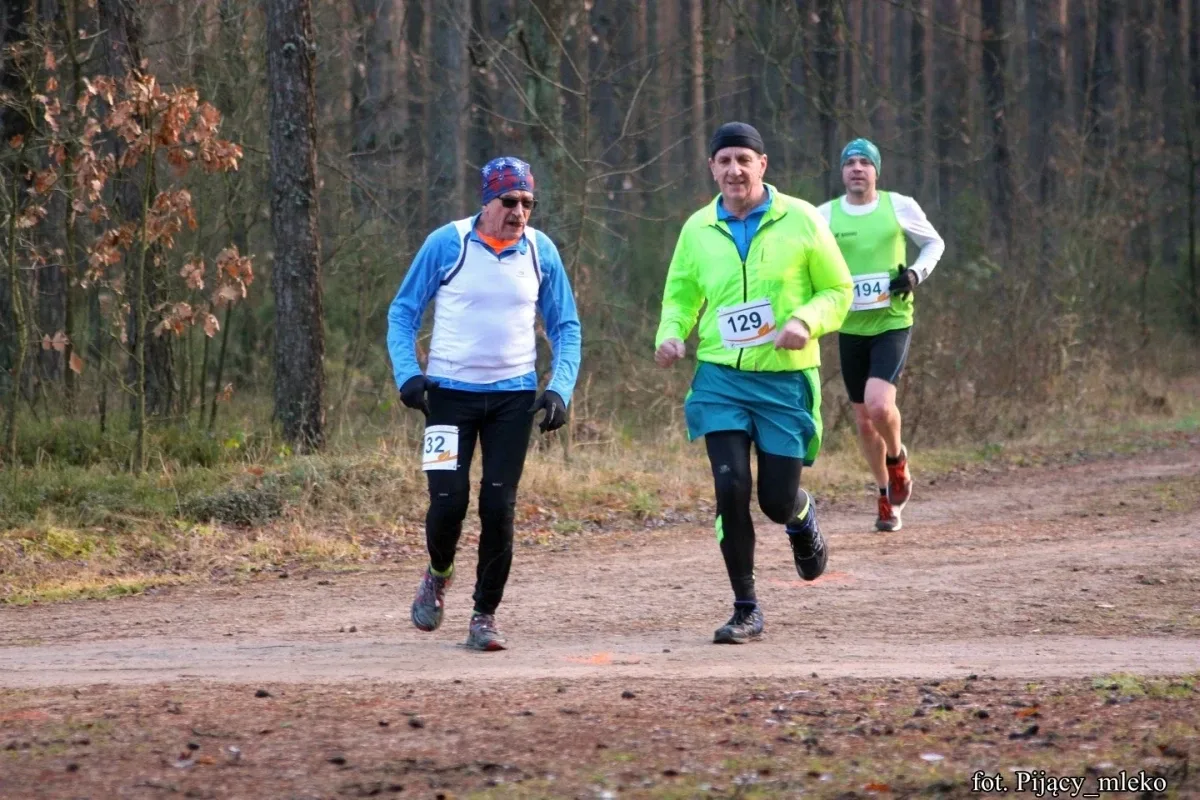 Pobiegli po choinkę w Orle (300 zdjęć)