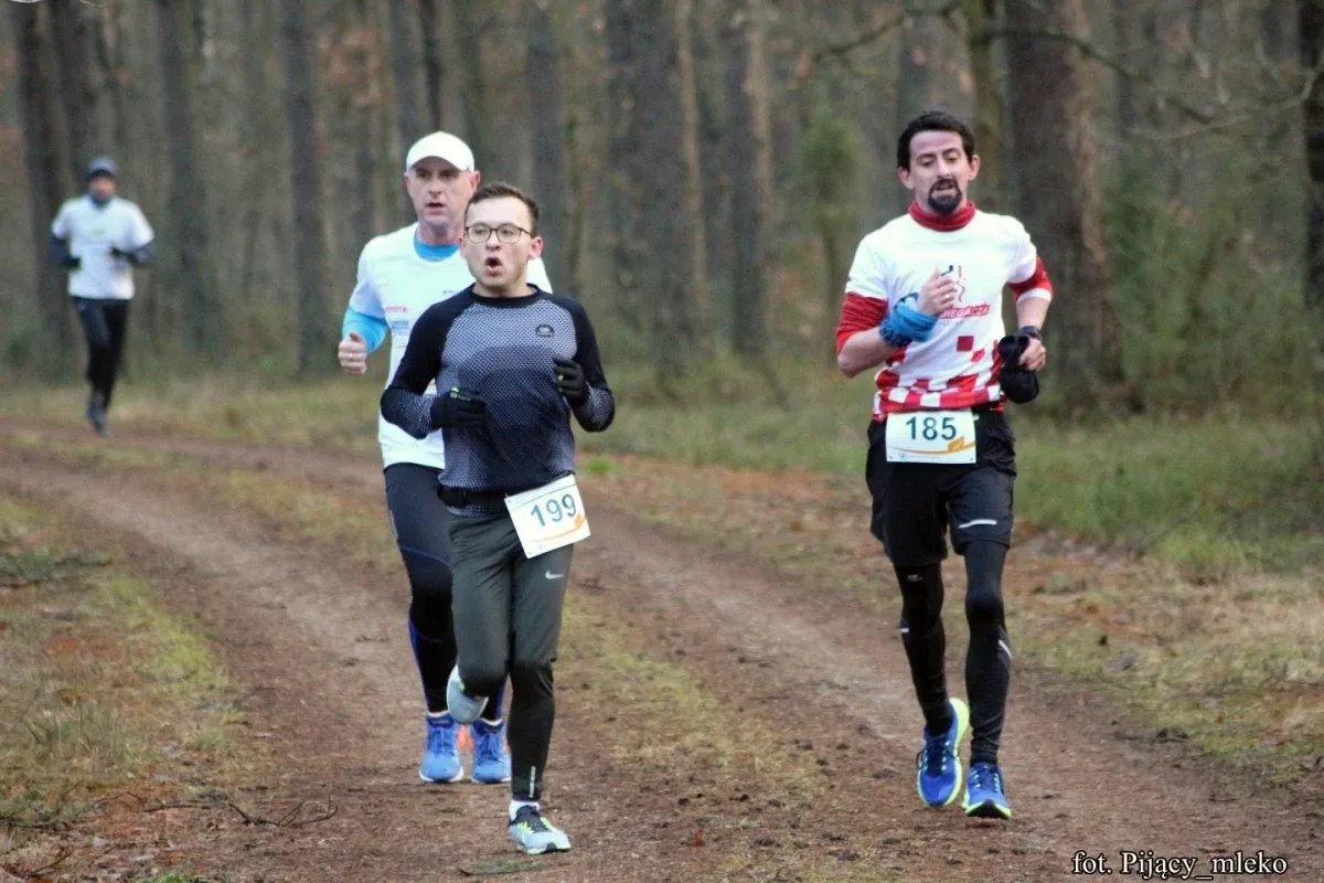 Pobiegli po choinkę w Orle (300 zdjęć)