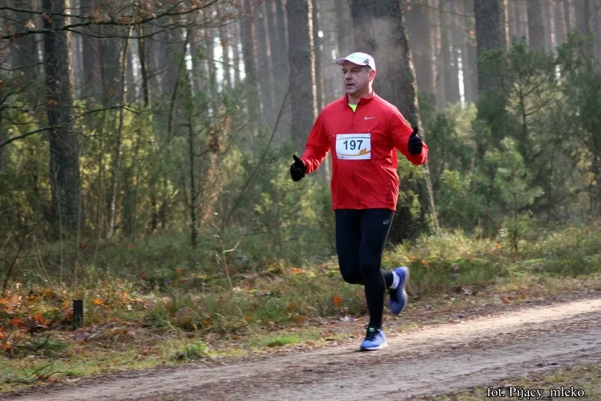 Pobiegli po choinkę w Orle (300 zdjęć)