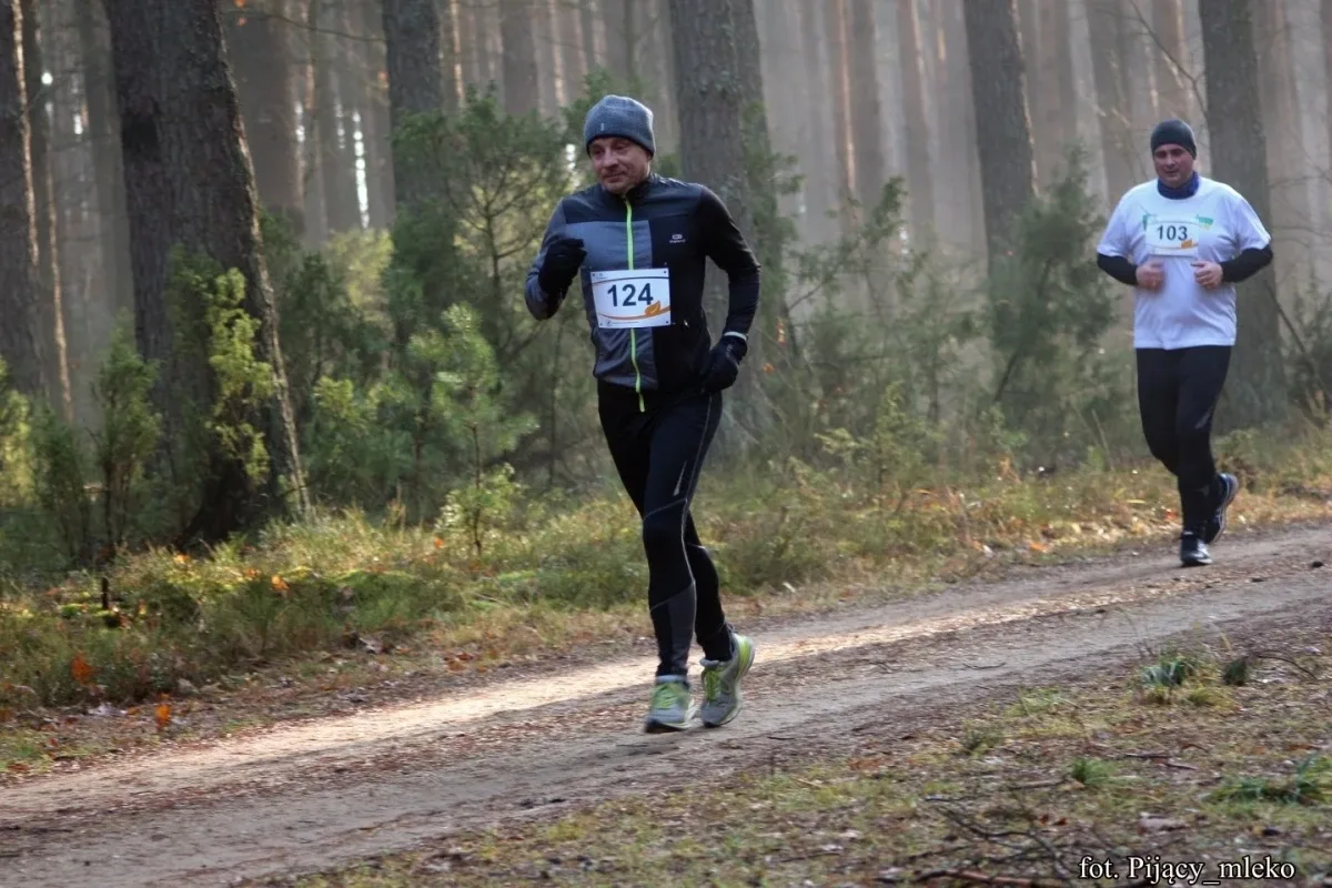 Pobiegli po choinkę w Orle (300 zdjęć)