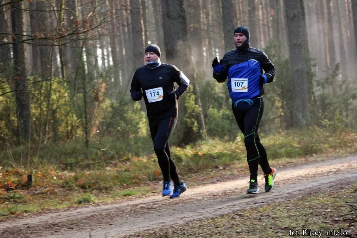 Pobiegli po choinkę w Orle (300 zdjęć)