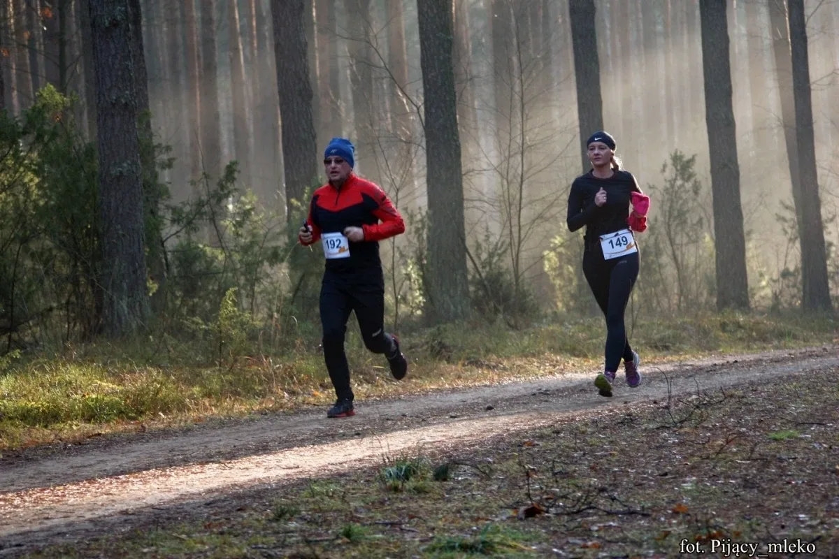 Pobiegli po choinkę w Orle (300 zdjęć)