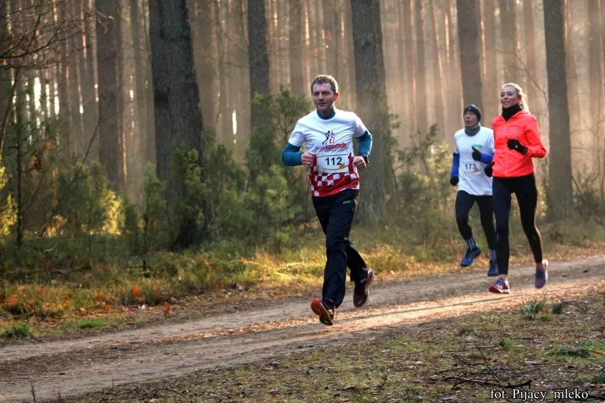 Pobiegli po choinkę w Orle (300 zdjęć)