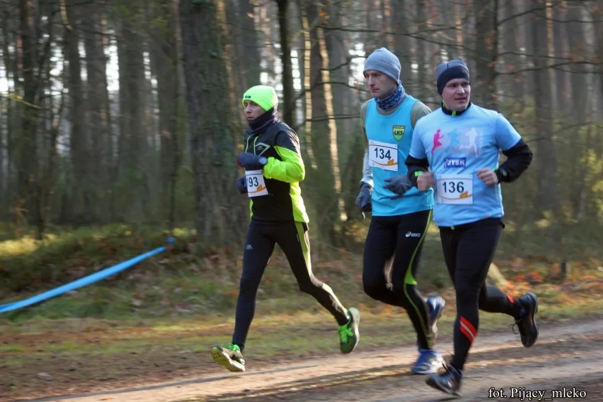 Pobiegli po choinkę w Orle (300 zdjęć)