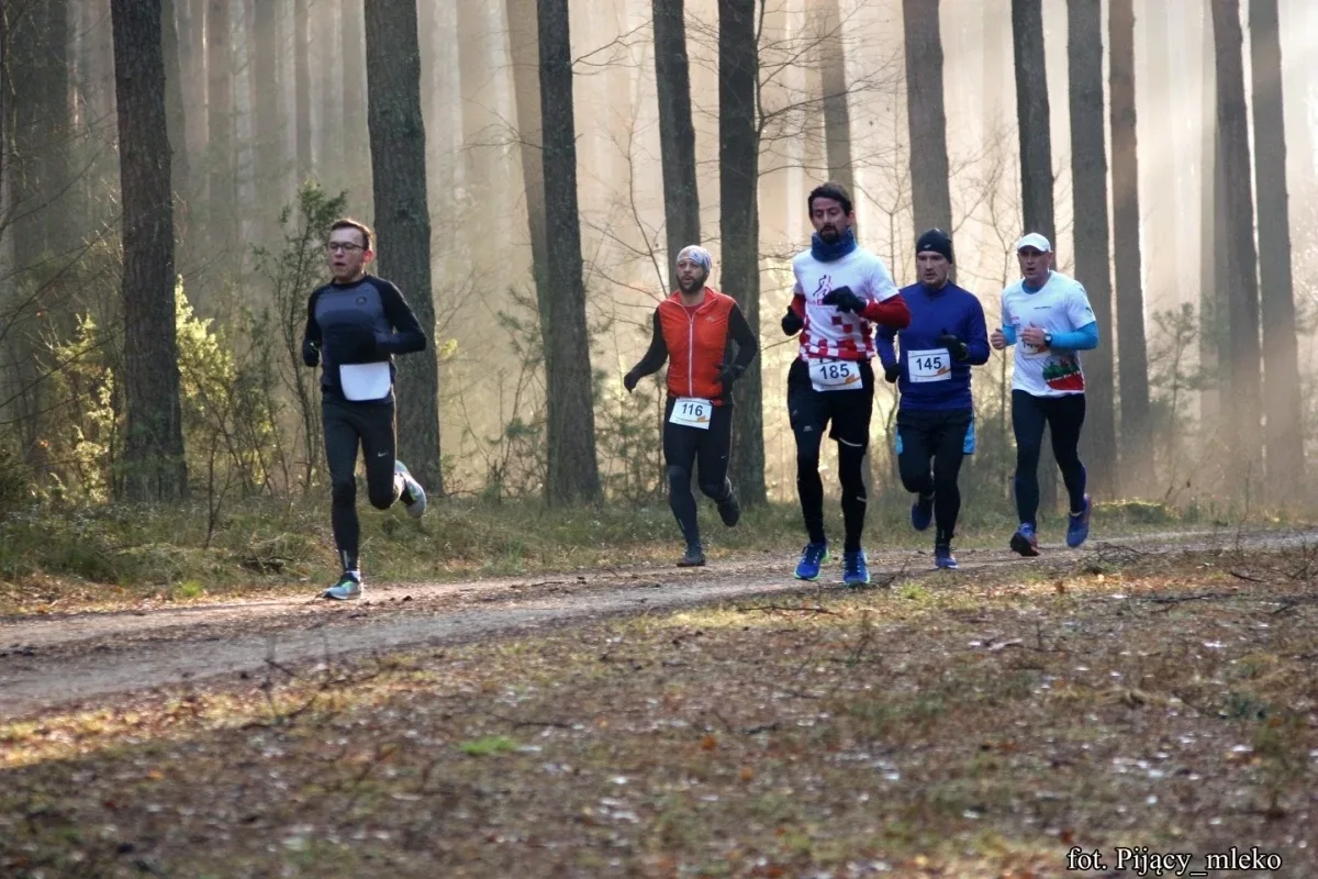 Pobiegli po choinkę w Orle (300 zdjęć)