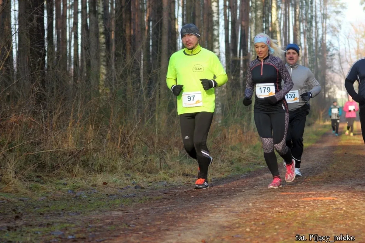 Pobiegli po choinkę w Orle (300 zdjęć)