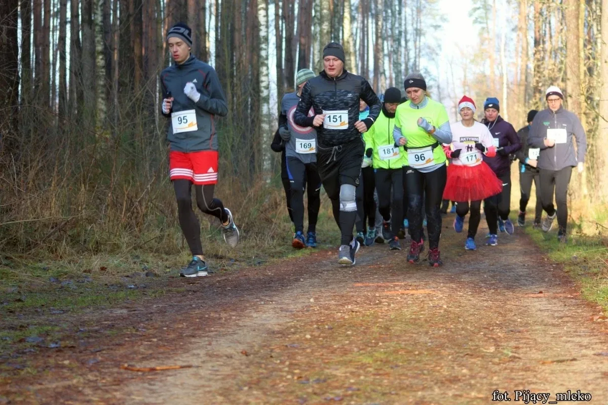 Pobiegli po choinkę w Orle (300 zdjęć)