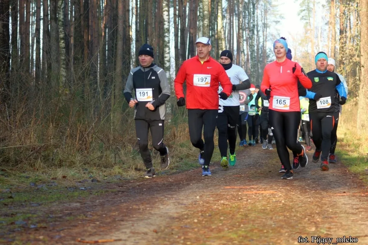 Pobiegli po choinkę w Orle (300 zdjęć)