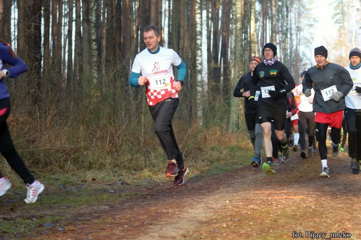 Pobiegli po choinkę w Orle (300 zdjęć)