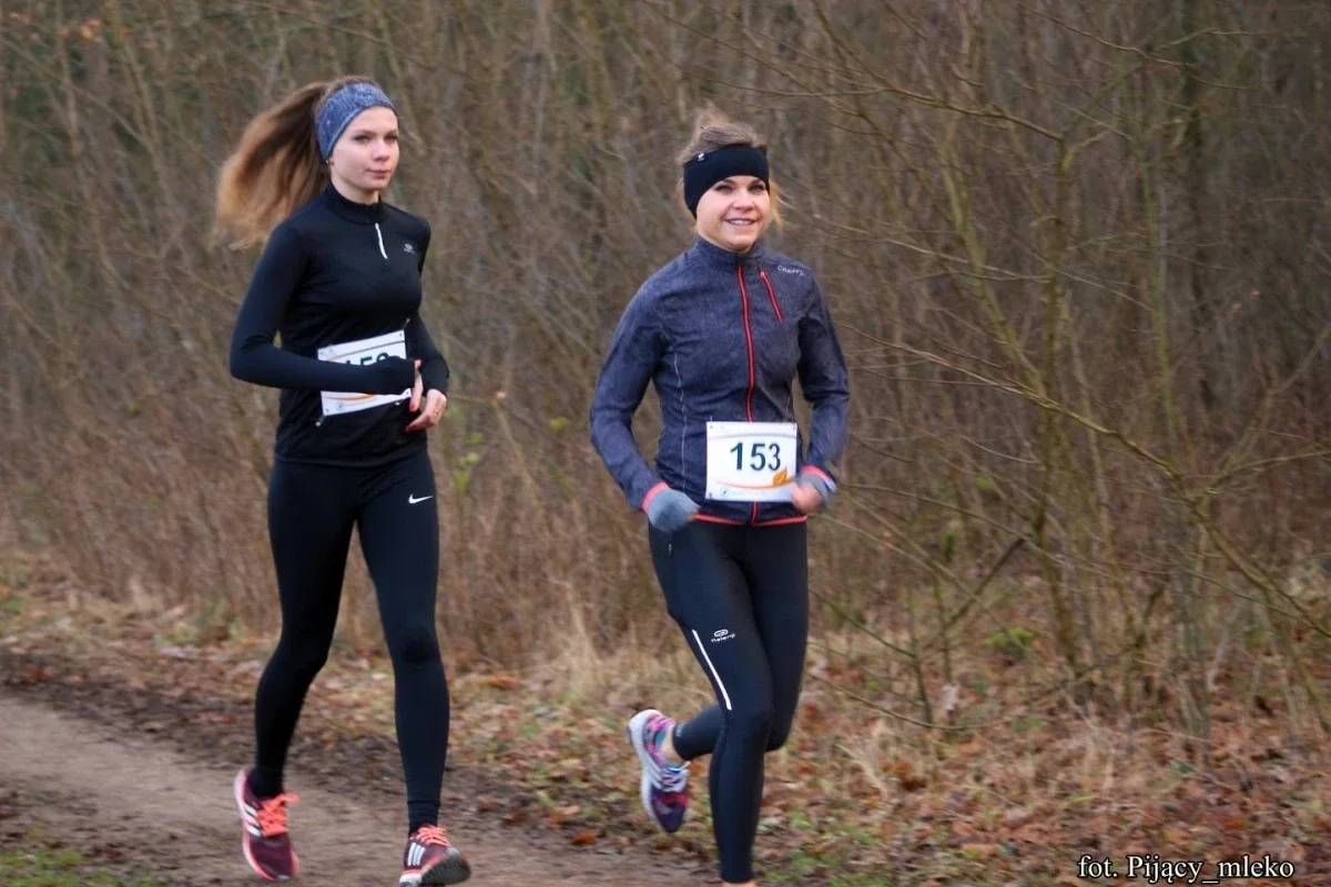 Pobiegli po choinkę w Orle (300 zdjęć)