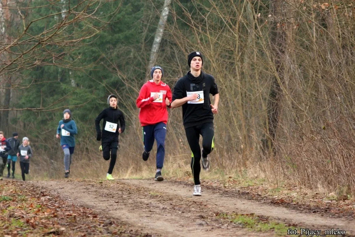 Pobiegli po choinkę w Orle (300 zdjęć)