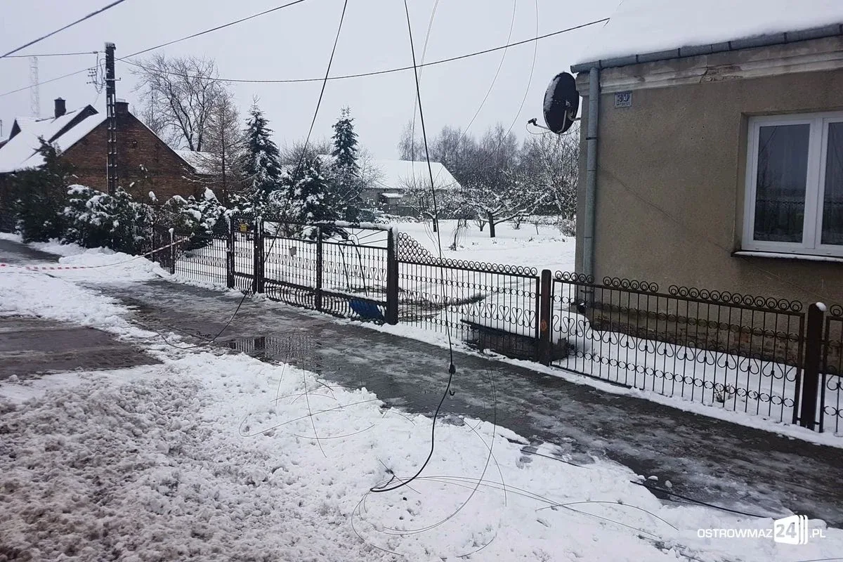 Ponad 40 interwencji ostrowskich strażaków. Powalone drzewa i zerwane linie energetyczne (zdjęcia)