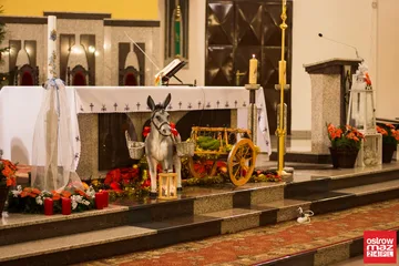Betlejemskie Światło Pokoju w Ostrowi Mazowieckiej (zdjęcia, wideo)