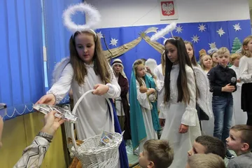 Poprzednie zdjęcie