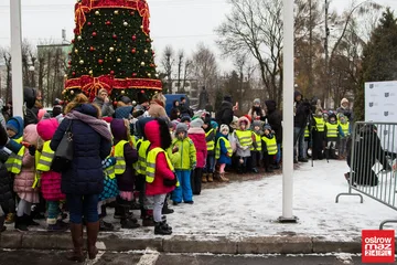 Następne zdjęcie