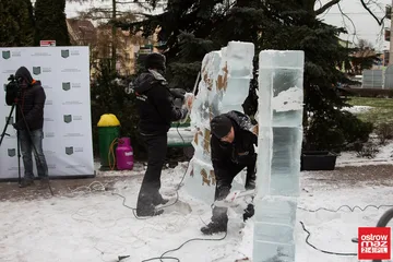 Następne zdjęcie